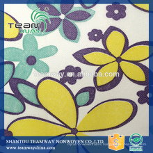 Printed Polyester Spunbond Nonwoven Fabric for Teamway